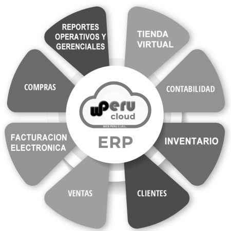 Software ERP WEB PERU